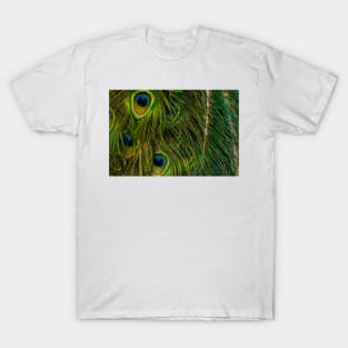 Peacock Close up T-Shirt